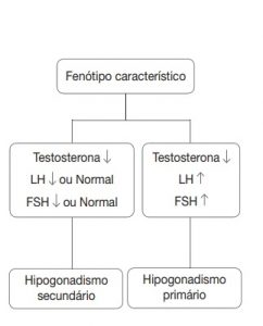 Como Aumentar A Testosterona Sem Terapia De Reposição (TRT) - Dr ...